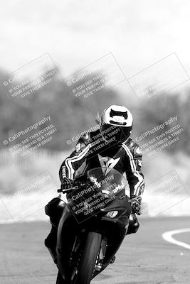 media/Nov-11-2023-SoCal Trackdays (Sat) [[efd63766ff]]/Track Exit (1130am until Lunch)/